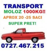 TRANSPORT MOLOZ 33151